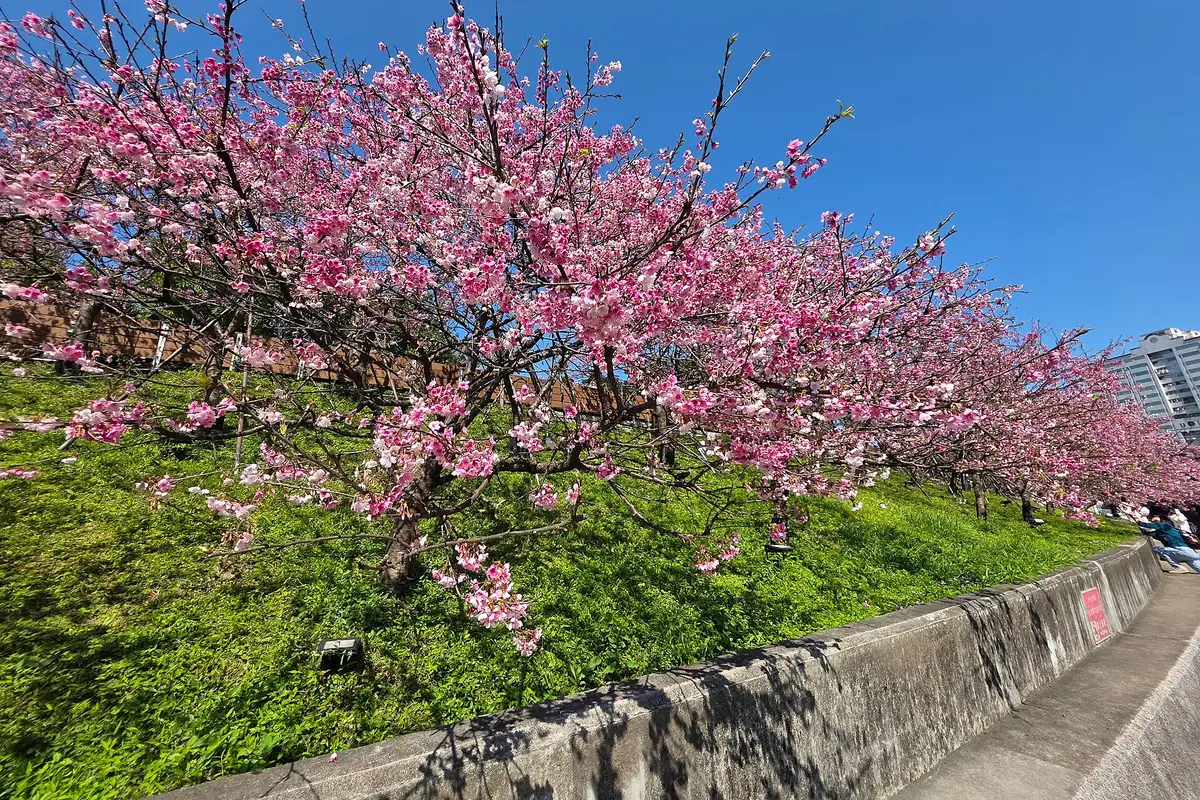 LOHAS Park, Taipei