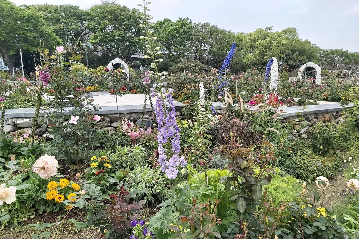 新生公園 玫瑰園, 台北